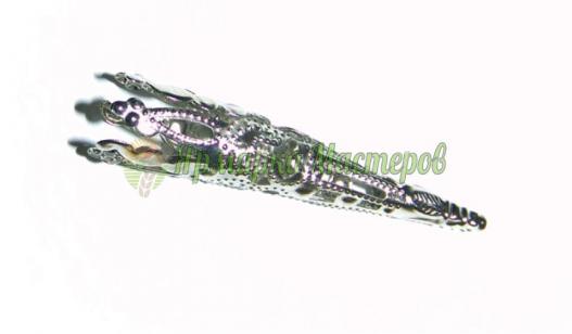 <div style=margin-left:10px><h1>Колпачки концевики.</h1><p><a href="/catalog/rashodniki/">Матеріали</a> » <a href="/catalog/rashodniki/rashodnye-materialy/">Витратні матеріали
</a></p><i class="fa fa-map-marker"></i> Черниговская область, Чернигов<br /><br /><div class="socdata"><script src="//yastatic.net/es5-shims/0.0.2/es5-shims.min.js"></script>
                                            <script src="//yastatic.net/share2/share.js"></script>
                                            <div class="ya-share2" data-services="facebook,gplus,twitter,lj,viber,whatsapp,skype" data-counter=""></div></div>