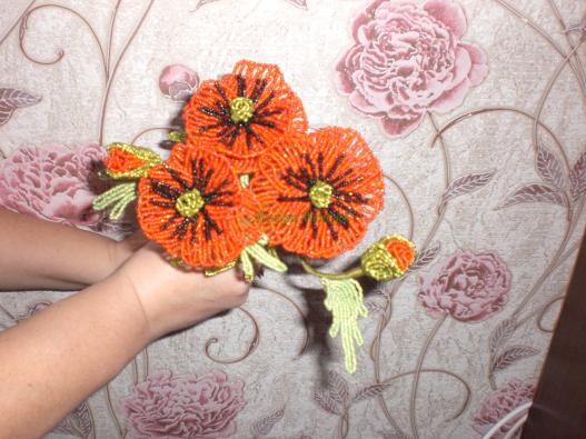 <div style=margin-left:10px><h1>Маки из бисера.</h1><p><a href="/catalog/podarki--suveniry/">Подарунки, сувеніри</a> » <a href="/catalog/podarki--suveniry/suveniry/">Сувеніри</a></p><i class="fa fa-map-marker"></i> Черниговская область, Чернигов<br /><br /><div class="socdata"><script src="//yastatic.net/es5-shims/0.0.2/es5-shims.min.js"></script>
                                            <script src="//yastatic.net/share2/share.js"></script>
                                            <div class="ya-share2" data-services="facebook,gplus,twitter,lj,viber,whatsapp,skype" data-counter=""></div></div>