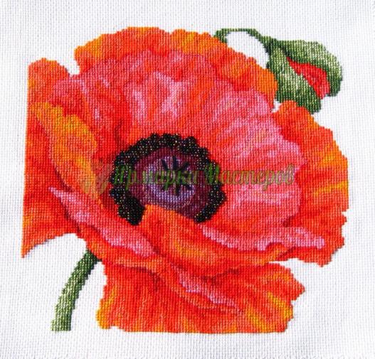 <div style=margin-left:10px><h1>«Красный мак»</h1><p><a href="/catalog/kartiny/">Картини</a> » <a href="/catalog/kartiny/vyshitye/">Вишиті</a></p><i class="fa fa-map-marker"></i> Николаевская область, Николаев<br /><br /><script src="//yastatic.net/es5-shims/0.0.2/es5-shims.min.js"></script>
                                            <script src="//yastatic.net/share2/share.js"></script>
                                            <div class="ya-share2" data-services="facebook,gplus,twitter,lj,viber,whatsapp,skype" data-counter=""></div><br /><div class="socdata"></div></div>