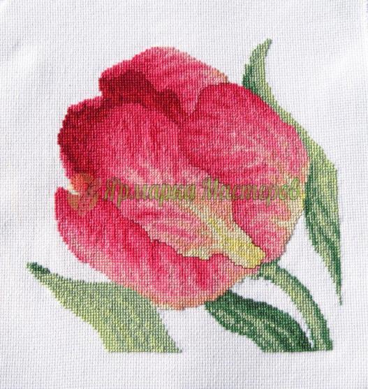 <div style=margin-left:10px><h1>«Тюльпан»</h1><p><a href="/catalog/kartiny/">Картини</a> » <a href="/catalog/kartiny/vyshitye/">Вишиті</a></p><i class="fa fa-map-marker"></i> Николаевская область, Николаев<br /><br /><script src="//yastatic.net/es5-shims/0.0.2/es5-shims.min.js"></script>
                                            <script src="//yastatic.net/share2/share.js"></script>
                                            <div class="ya-share2" data-services="facebook,gplus,twitter,lj,viber,whatsapp,skype" data-counter=""></div><br /><div class="socdata"></div></div>