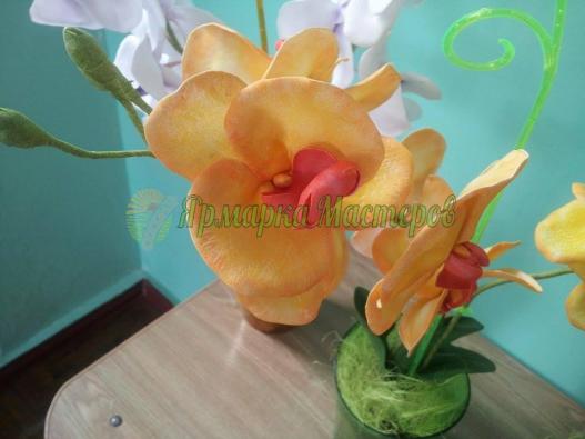 <div style=margin-left:10px><h1>Орхидея ФАЛЕНОПСИС на 2 ветки</h1><p><a href="/catalog/podarki--suveniry/">Подарунки, сувеніри</a> » <a href="/catalog/podarki--suveniry/podarki/">Подарунки</a></p><i class="fa fa-map-marker"></i> Житомирская область, Житомир<br /><br /><div class="socdata"><script src="//yastatic.net/es5-shims/0.0.2/es5-shims.min.js"></script>
                                            <script src="//yastatic.net/share2/share.js"></script>
                                            <div class="ya-share2" data-services="facebook,gplus,twitter,lj,viber,whatsapp,skype" data-counter=""></div></div>