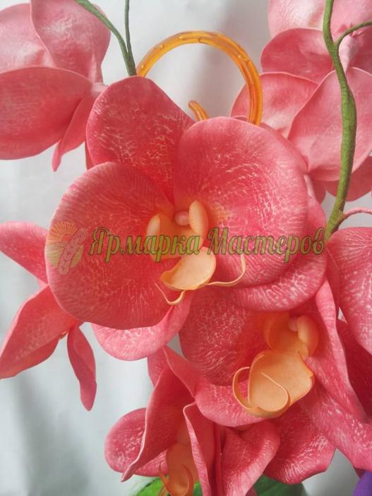 <div style=margin-left:10px><h1>Орхидея ФАЛЕНОПСИС Бархат на 2 ветки</h1><p><a href="/catalog/podarki--suveniry/">Подарунки, сувеніри</a> » <a href="/catalog/podarki--suveniry/podarki/">Подарунки</a></p><i class="fa fa-map-marker"></i> Житомирская область, Житомир<br /><br /><div class="socdata"><script src="//yastatic.net/es5-shims/0.0.2/es5-shims.min.js"></script>
                                            <script src="//yastatic.net/share2/share.js"></script>
                                            <div class="ya-share2" data-services="facebook,gplus,twitter,lj,viber,whatsapp,skype" data-counter=""></div></div>