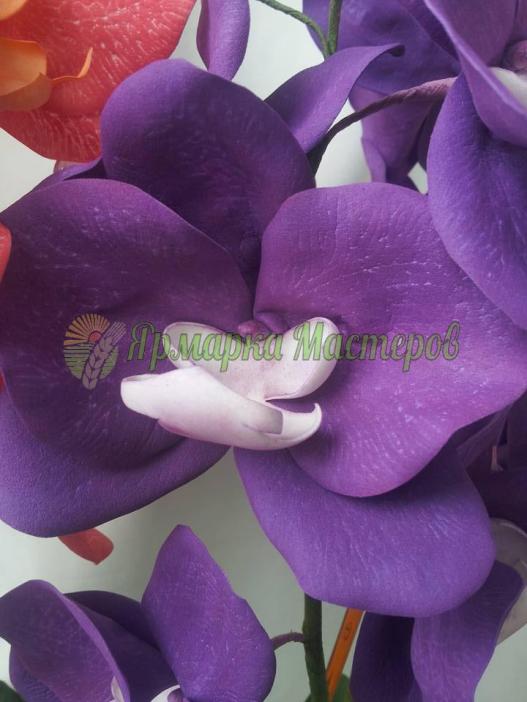 <div style=margin-left:10px><h1>Орхидея ФАЛЕНОПСИС Бархат на 2 ветки</h1><p><a href="/catalog/podarki--suveniry/">Подарунки, сувеніри</a> » <a href="/catalog/podarki--suveniry/podarki/">Подарунки</a></p><i class="fa fa-map-marker"></i> Житомирская область, Житомир<br /><br /><div class="socdata"><script src="//yastatic.net/es5-shims/0.0.2/es5-shims.min.js"></script>
                                            <script src="//yastatic.net/share2/share.js"></script>
                                            <div class="ya-share2" data-services="facebook,gplus,twitter,lj,viber,whatsapp,skype" data-counter=""></div></div>