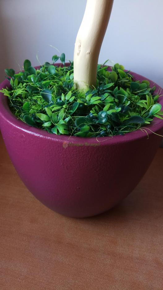 <div style=margin-left:10px><h1>Топиарий</h1><p><a href="/catalog/ukrasheniya/">Прикраси</a> » <a href="/catalog/ukrasheniya/podarki/">Подарунки</a></p><i class="fa fa-map-marker"></i> Киевская область, Киев<br /><br /><div class="socdata"><script src="//yastatic.net/es5-shims/0.0.2/es5-shims.min.js"></script>
                                            <script src="//yastatic.net/share2/share.js"></script>
                                            <div class="ya-share2" data-services="facebook,gplus,twitter,lj,viber,whatsapp,skype" data-counter=""></div></div>