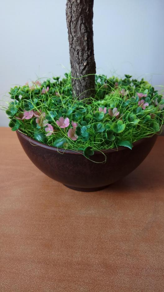 <div style=margin-left:10px><h1>Топиарий</h1><p><a href="/catalog/ukrasheniya/">Прикраси</a> » <a href="/catalog/ukrasheniya/podarki/">Подарунки</a></p><i class="fa fa-map-marker"></i> Киевская область, Киев<br /><br /><div class="socdata"><script src="//yastatic.net/es5-shims/0.0.2/es5-shims.min.js"></script>
                                            <script src="//yastatic.net/share2/share.js"></script>
                                            <div class="ya-share2" data-services="facebook,gplus,twitter,lj,viber,whatsapp,skype" data-counter=""></div></div>