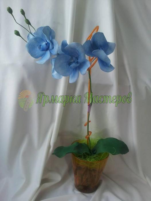 <div style=margin-left:10px><h1>Орхидея ФАЛЕНОПСИС на 1 ветку</h1><p><a href="/catalog/podarki--suveniry/">Подарунки, сувеніри</a> » <a href="/catalog/podarki--suveniry/podarki/">Подарунки</a></p><i class="fa fa-map-marker"></i> Житомирская область, Житомир<br /><br /><div class="socdata"><script src="//yastatic.net/es5-shims/0.0.2/es5-shims.min.js"></script>
                                            <script src="//yastatic.net/share2/share.js"></script>
                                            <div class="ya-share2" data-services="facebook,gplus,twitter,lj,viber,whatsapp,skype" data-counter=""></div></div>