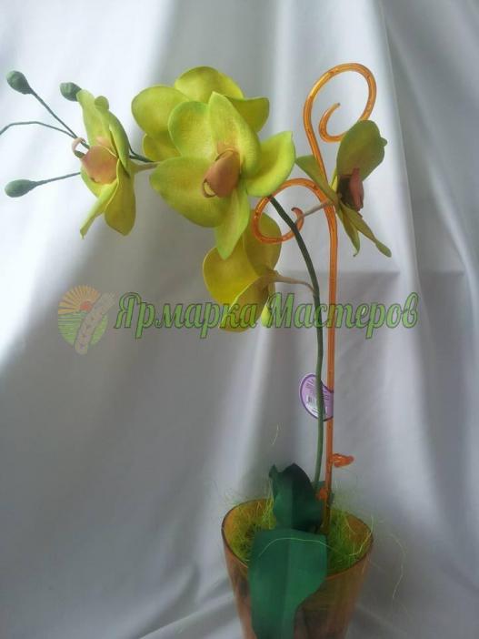 <div style=margin-left:10px><h1>Орхидея ФАЛЕНОПСИС на 1 ветку</h1><p><a href="/catalog/podarki--suveniry/">Подарунки, сувеніри</a> » <a href="/catalog/podarki--suveniry/podarki/">Подарунки</a></p><i class="fa fa-map-marker"></i> Житомирская область, Житомир<br /><br /><div class="socdata"><script src="//yastatic.net/es5-shims/0.0.2/es5-shims.min.js"></script>
                                            <script src="//yastatic.net/share2/share.js"></script>
                                            <div class="ya-share2" data-services="facebook,gplus,twitter,lj,viber,whatsapp,skype" data-counter=""></div></div>