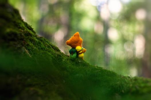 <div style=margin-left:10px><h1>Лисёнок-путешественник</h1><p><a href="/catalog/podarki--suveniry/">Подарунки, сувеніри</a> » <a href="/catalog/podarki--suveniry/igrushki/">Iграшки</a></p><i class="fa fa-map-marker"></i> Ивано-Франковская область, Косов<br /><br /><div class="socdata"><script src="//yastatic.net/es5-shims/0.0.2/es5-shims.min.js"></script>
                                            <script src="//yastatic.net/share2/share.js"></script>
                                            <div class="ya-share2" data-services="facebook,gplus,twitter,lj,viber,whatsapp,skype" data-counter=""></div></div>