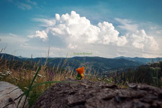 <div style=margin-left:10px><h1>Лисёнок-путешественник</h1><p><a href="/catalog/podarki--suveniry/">Подарунки, сувеніри</a> » <a href="/catalog/podarki--suveniry/igrushki/">Iграшки</a></p><i class="fa fa-map-marker"></i> Ивано-Франковская область, Косов<br /><br /><div class="socdata"><script src="//yastatic.net/es5-shims/0.0.2/es5-shims.min.js"></script>
                                            <script src="//yastatic.net/share2/share.js"></script>
                                            <div class="ya-share2" data-services="facebook,gplus,twitter,lj,viber,whatsapp,skype" data-counter=""></div></div>