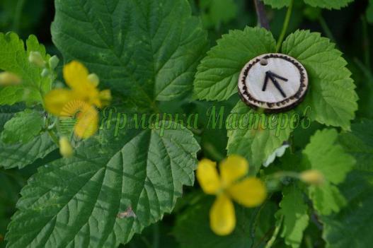 <div style=margin-left:10px><h1>Руна Тейваз Tiwaz ручной работы подвески, брелки, браслеты</h1><p><a href="/catalog/ezoterika/">Езотерика</a> » <a href="/catalog/ezoterika/raznoe/">Рiзне</a></p><i class="fa fa-map-marker"></i> Киевская область, Киев<br /><br /><div class="socdata"><script src="//yastatic.net/es5-shims/0.0.2/es5-shims.min.js"></script>
                                            <script src="//yastatic.net/share2/share.js"></script>
                                            <div class="ya-share2" data-services="facebook,gplus,twitter,lj,viber,whatsapp,skype" data-counter=""></div></div>