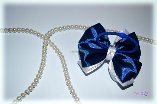 <div style=margin-left:10px><h1>Школьный бант</h1><p><a href="/catalog/aksessuary/">Аксесуари</a> » <a href="/catalog/aksessuary/banty/">Банти</a></p><i class="fa fa-map-marker"></i> Днепропетровская область, Днепропетровск<br /><br /><div class="socdata"><script src="//yastatic.net/es5-shims/0.0.2/es5-shims.min.js"></script>
                                            <script src="//yastatic.net/share2/share.js"></script>
                                            <div class="ya-share2" data-services="facebook,gplus,twitter,lj,viber,whatsapp,skype" data-counter=""></div></div>