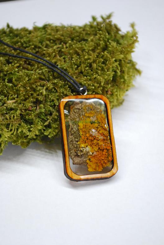 <div style=margin-left:10px><h1>Подвеска "Мох"</h1><p><a href="/catalog/ukrasheniya/">Прикраси</a> » <a href="/catalog/ukrasheniya/aksessuary/">Аксесуари</a></p><i class="fa fa-map-marker"></i> Ивано-Франковская область, Коломыя<br /><br /><script src="//yastatic.net/es5-shims/0.0.2/es5-shims.min.js"></script>
                                            <script src="//yastatic.net/share2/share.js"></script>
                                            <div class="ya-share2" data-services="facebook,gplus,twitter,lj,viber,whatsapp,skype" data-counter=""></div><br /><div class="socdata"></div></div>