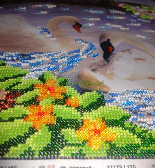 <div style=margin-left:10px><h1>Картина "Семья лебедей"</h1><p><a href="/catalog/kartiny/">Картини</a> » <a href="/catalog/kartiny/vyshitye/">Вишиті</a></p><i class="fa fa-map-marker"></i> Хмельницкая область, Хмельницкий<br /><br /><div class="socdata"><script src="//yastatic.net/es5-shims/0.0.2/es5-shims.min.js"></script>
                                            <script src="//yastatic.net/share2/share.js"></script>
                                            <div class="ya-share2" data-services="facebook,gplus,twitter,lj,viber,whatsapp,skype" data-counter=""></div></div>