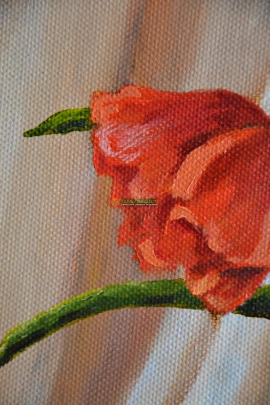 <div style=margin-left:10px><h1>Маки</h1><p><a href="/catalog/kartiny/">Картини</a> » <a href="/catalog/kartiny/jivopis/">Живопис</a></p><i class="fa fa-map-marker"></i> Донецкая область, Мариуполь<br /><br /><div class="socdata"><script src="//yastatic.net/es5-shims/0.0.2/es5-shims.min.js"></script>
                                            <script src="//yastatic.net/share2/share.js"></script>
                                            <div class="ya-share2" data-services="facebook,gplus,twitter,lj,viber,whatsapp,skype" data-counter=""></div></div>