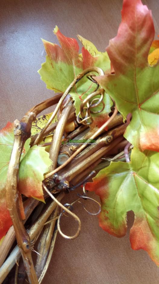 <div style=margin-left:10px><h1>Осенний интерьерный венок</h1><p><a href="/catalog/aksessuary/">Аксесуари</a> » <a href="/catalog/aksessuary/venki/">Вінки</a></p><i class="fa fa-map-marker"></i> Киевская область, Киев<br /><br /><div class="socdata"><script src="//yastatic.net/es5-shims/0.0.2/es5-shims.min.js"></script>
                                            <script src="//yastatic.net/share2/share.js"></script>
                                            <div class="ya-share2" data-services="facebook,gplus,twitter,lj,viber,whatsapp,skype" data-counter=""></div></div>