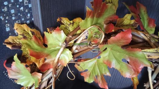 <div style=margin-left:10px><h1>Осенний интерьерный венок</h1><p><a href="/catalog/aksessuary/">Аксесуари</a> » <a href="/catalog/aksessuary/venki/">Вінки</a></p><i class="fa fa-map-marker"></i> Киевская область, Киев<br /><br /><div class="socdata"><script src="//yastatic.net/es5-shims/0.0.2/es5-shims.min.js"></script>
                                            <script src="//yastatic.net/share2/share.js"></script>
                                            <div class="ya-share2" data-services="facebook,gplus,twitter,lj,viber,whatsapp,skype" data-counter=""></div></div>