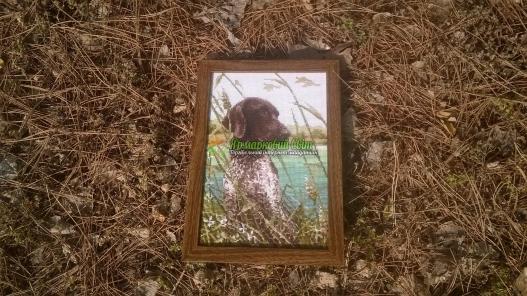 <div style=margin-left:10px><h1>Вышитая картина </h1><p><a href="/catalog/kartiny/">Картини</a> » <a href="/catalog/kartiny/vyshitye/">Вишиті</a></p><i class="fa fa-map-marker"></i> Днепропетровская область, Кривой Рог<br /><br /><div class="socdata"><script src="//yastatic.net/es5-shims/0.0.2/es5-shims.min.js"></script>
                                            <script src="//yastatic.net/share2/share.js"></script>
                                            <div class="ya-share2" data-services="facebook,gplus,twitter,lj,viber,whatsapp,skype" data-counter=""></div></div>