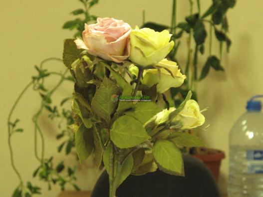 <div style=margin-left:10px><h1>Розы</h1><p><a href="/catalog/rukodelie/">Рукоділля</a> » <a href="/catalog/rukodelie/rukodelie--obschee/">Рукоділля, загальне</a></p><i class="fa fa-map-marker"></i> Запорожская область, Запорожье<br /><br /><div class="socdata"><script src="//yastatic.net/es5-shims/0.0.2/es5-shims.min.js"></script>
                                            <script src="//yastatic.net/share2/share.js"></script>
                                            <div class="ya-share2" data-services="facebook,gplus,twitter,lj,viber,whatsapp,skype" data-counter=""></div></div>