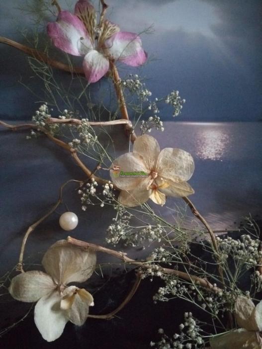 <div style=margin-left:10px><h1>Картина 3 D Рассвет </h1><p><a href="/catalog/kartiny/">Картини</a> » <a href="/catalog/kartiny/panno/">Панно</a></p><i class="fa fa-map-marker"></i> Киевская область, Киев<br /><br /><div class="socdata"><script src="//yastatic.net/es5-shims/0.0.2/es5-shims.min.js"></script>
                                            <script src="//yastatic.net/share2/share.js"></script>
                                            <div class="ya-share2" data-services="facebook,gplus,twitter,lj,viber,whatsapp,skype" data-counter=""></div></div>