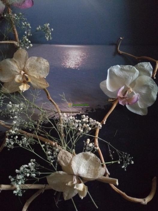 <div style=margin-left:10px><h1>Картина 3 D Рассвет </h1><p><a href="/catalog/kartiny/">Картини</a> » <a href="/catalog/kartiny/panno/">Панно</a></p><i class="fa fa-map-marker"></i> Киевская область, Киев<br /><br /><div class="socdata"><script src="//yastatic.net/es5-shims/0.0.2/es5-shims.min.js"></script>
                                            <script src="//yastatic.net/share2/share.js"></script>
                                            <div class="ya-share2" data-services="facebook,gplus,twitter,lj,viber,whatsapp,skype" data-counter=""></div></div>