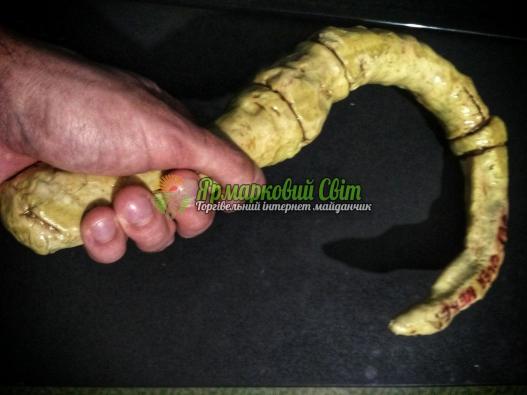 <div style=margin-left:10px><h1>Хук пуджа из игры Дота (DC hook pudges)</h1><p><a href="/catalog/lepka/">Ліплення</a> » <a href="/catalog/lepka/polimernaya-glina/">Полімерна глина
</a></p><i class="fa fa-map-marker"></i> Харьковская область, Харьков<br /><br /><div class="socdata"><script src="//yastatic.net/es5-shims/0.0.2/es5-shims.min.js"></script>
                                            <script src="//yastatic.net/share2/share.js"></script>
                                            <div class="ya-share2" data-services="facebook,gplus,twitter,lj,viber,whatsapp,skype" data-counter=""></div></div>