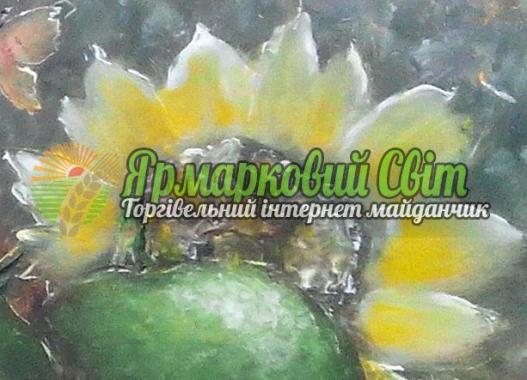 <div style=margin-left:10px><h1>Картина маслом. Натюрморт с яблоками.Картина написана на оргалите. 35х43см. Мастихин. Авторская работа.</h1><p><a href="/catalog/kartiny/">Картини</a> » <a href="/catalog/kartiny/jivopis/">Живопис</a></p><i class="fa fa-map-marker"></i> Днепропетровская область, Днепропетровск<br /><br /><div class="socdata"><script src="//yastatic.net/es5-shims/0.0.2/es5-shims.min.js"></script>
                                            <script src="//yastatic.net/share2/share.js"></script>
                                            <div class="ya-share2" data-services="facebook,gplus,twitter,lj,viber,whatsapp,skype" data-counter=""></div></div>