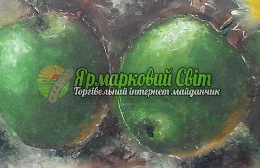 <div style=margin-left:10px><h1>Картина маслом. Натюрморт с яблоками.Картина написана на оргалите. 35х43см. Мастихин. Авторская работа.</h1><p><a href="/catalog/kartiny/">Картини</a> » <a href="/catalog/kartiny/jivopis/">Живопис</a></p><i class="fa fa-map-marker"></i> Днепропетровская область, Днепропетровск<br /><br /><div class="socdata"><script src="//yastatic.net/es5-shims/0.0.2/es5-shims.min.js"></script>
                                            <script src="//yastatic.net/share2/share.js"></script>
                                            <div class="ya-share2" data-services="facebook,gplus,twitter,lj,viber,whatsapp,skype" data-counter=""></div></div>