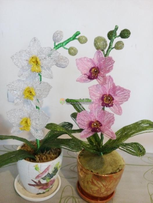 <div style=margin-left:10px><h1>Орхідея</h1><p><a href="/catalog/podarki--suveniry/">Подарунки, сувеніри</a> » <a href="/catalog/podarki--suveniry/suveniry/">Сувеніри</a></p><i class="fa fa-map-marker"></i> Киевская область, Киев<br /><br /><div class="socdata"><script src="//yastatic.net/es5-shims/0.0.2/es5-shims.min.js"></script>
                                            <script src="//yastatic.net/share2/share.js"></script>
                                            <div class="ya-share2" data-services="facebook,gplus,twitter,lj,viber,whatsapp,skype" data-counter=""></div></div>