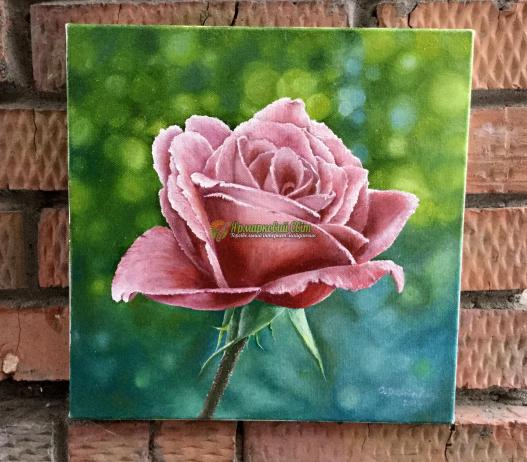 <div style=margin-left:10px><h1>"Róża" масло, холст</h1><p><a href="/catalog/kartiny/">Картини</a> » <a href="/catalog/kartiny/jivopis/">Живопис</a></p><i class="fa fa-map-marker"></i> Хмельницкая область, Хмельницкий<br /><br /><div class="socdata"><script src="//yastatic.net/es5-shims/0.0.2/es5-shims.min.js"></script>
                                            <script src="//yastatic.net/share2/share.js"></script>
                                            <div class="ya-share2" data-services="facebook,gplus,twitter,lj,viber,whatsapp,skype" data-counter=""></div></div>