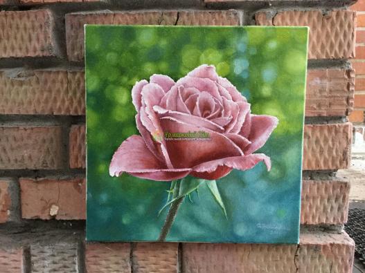 <div style=margin-left:10px><h1>"Róża" масло, холст</h1><p><a href="/catalog/kartiny/">Картини</a> » <a href="/catalog/kartiny/jivopis/">Живопис</a></p><i class="fa fa-map-marker"></i> Хмельницкая область, Хмельницкий<br /><br /><div class="socdata"><script src="//yastatic.net/es5-shims/0.0.2/es5-shims.min.js"></script>
                                            <script src="//yastatic.net/share2/share.js"></script>
                                            <div class="ya-share2" data-services="facebook,gplus,twitter,lj,viber,whatsapp,skype" data-counter=""></div></div>