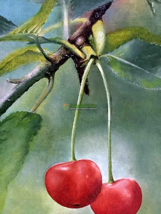 <div style=margin-left:10px><h1>"Вишеньки" масло, холст</h1><p><a href="/catalog/kartiny/">Картини</a> » <a href="/catalog/kartiny/jivopis/">Живопис</a></p><i class="fa fa-map-marker"></i> Хмельницкая область, Хмельницкий<br /><br /><div class="socdata"><script src="//yastatic.net/es5-shims/0.0.2/es5-shims.min.js"></script>
                                            <script src="//yastatic.net/share2/share.js"></script>
                                            <div class="ya-share2" data-services="facebook,gplus,twitter,lj,viber,whatsapp,skype" data-counter=""></div></div>