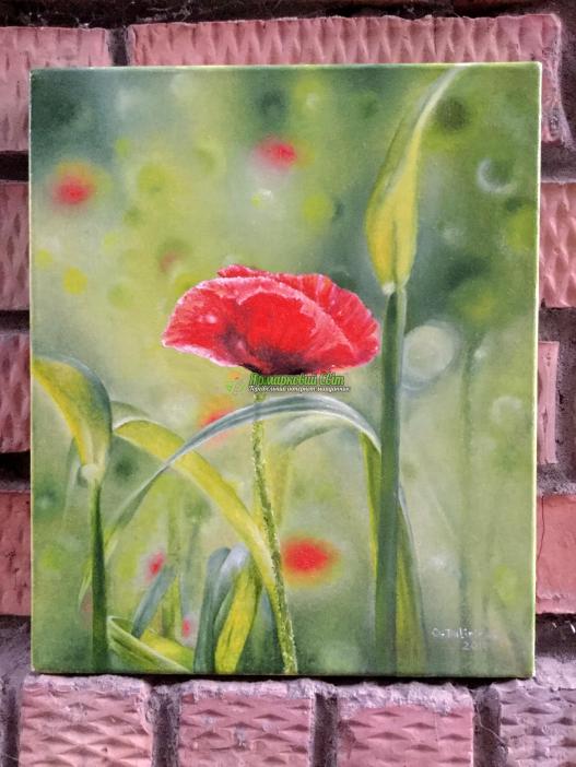 <div style=margin-left:10px><h1>"Мак" масло, холст</h1><p><a href="/catalog/kartiny/">Картини</a> » <a href="/catalog/kartiny/jivopis/">Живопис</a></p><i class="fa fa-map-marker"></i> Хмельницкая область, Хмельницкий<br /><br /><div class="socdata"><script src="//yastatic.net/es5-shims/0.0.2/es5-shims.min.js"></script>
                                            <script src="//yastatic.net/share2/share.js"></script>
                                            <div class="ya-share2" data-services="facebook,gplus,twitter,lj,viber,whatsapp,skype" data-counter=""></div></div>