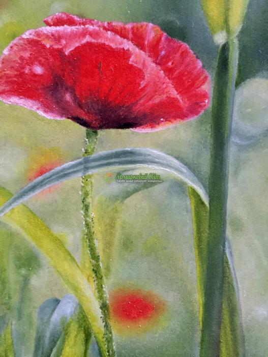 <div style=margin-left:10px><h1>"Мак" масло, холст</h1><p><a href="/catalog/kartiny/">Картини</a> » <a href="/catalog/kartiny/jivopis/">Живопис</a></p><i class="fa fa-map-marker"></i> Хмельницкая область, Хмельницкий<br /><br /><div class="socdata"><script src="//yastatic.net/es5-shims/0.0.2/es5-shims.min.js"></script>
                                            <script src="//yastatic.net/share2/share.js"></script>
                                            <div class="ya-share2" data-services="facebook,gplus,twitter,lj,viber,whatsapp,skype" data-counter=""></div></div>