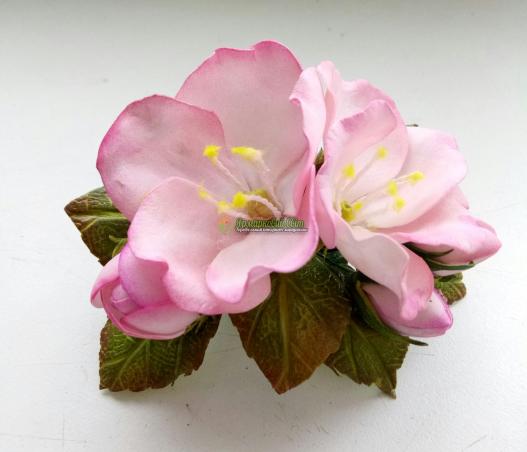 <div style=margin-left:10px><h1>заколка для волос</h1><p><a href="/catalog/aksessuary/">Аксесуари</a> » <a href="/catalog/aksessuary/zakolki--zajimy/">Шпильки, затискачі</a></p><i class="fa fa-map-marker"></i> Донецкая область, Красный Лиман<br /><br /><div class="socdata"><script src="//yastatic.net/es5-shims/0.0.2/es5-shims.min.js"></script>
                                            <script src="//yastatic.net/share2/share.js"></script>
                                            <div class="ya-share2" data-services="facebook,gplus,twitter,lj,viber,whatsapp,skype" data-counter=""></div></div>