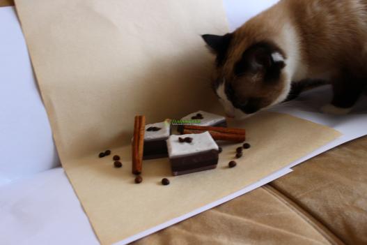 <div style=margin-left:10px><h1>Красивое мыло ручной работы "Кофейное пирожное"</h1><p><a href="/catalog/podarki--suveniry/">Подарунки, сувеніри</a> » <a href="/catalog/podarki--suveniry/mylo/">Мило</a></p><i class="fa fa-map-marker"></i> Херсонская область, Херсон<br /><br /><div class="socdata"><script src="//yastatic.net/es5-shims/0.0.2/es5-shims.min.js"></script>
                                            <script src="//yastatic.net/share2/share.js"></script>
                                            <div class="ya-share2" data-services="facebook,gplus,twitter,lj,viber,whatsapp,skype" data-counter=""></div></div>