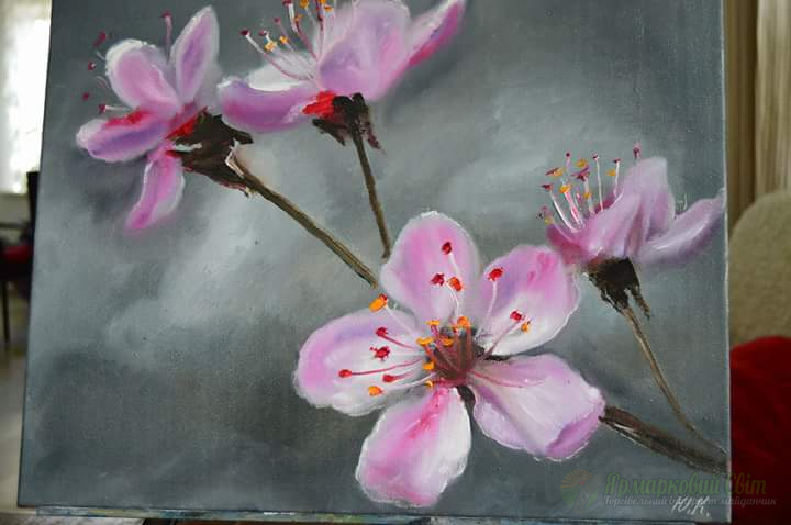 <div style=margin-left:10px><h1>«Вишневий цвіт» 2016,  масло холст 40*50</h1><p><a href="/catalog/kartiny/">Картини</a> » <a href="/catalog/kartiny/jivopis/">Живопис</a></p><i class="fa fa-map-marker"></i> Сумская область, Сумы<br /><br /><div class="socdata"><script src="//yastatic.net/es5-shims/0.0.2/es5-shims.min.js"></script>
                                            <script src="//yastatic.net/share2/share.js"></script>
                                            <div class="ya-share2" data-services="facebook,gplus,twitter,lj,viber,whatsapp,skype" data-counter=""></div></div>