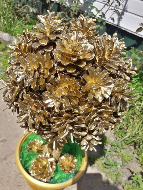 <div style=margin-left:10px><h1>Дерево топиарий из шишек</h1><p><a href="/catalog/podarki--suveniry/">Подарунки, сувеніри</a> » <a href="/catalog/podarki--suveniry/suveniry/">Сувеніри</a></p><i class="fa fa-map-marker"></i> Сумская область, Лебедин<br /><br /><div class="socdata"><script src="//yastatic.net/es5-shims/0.0.2/es5-shims.min.js"></script>
                                            <script src="//yastatic.net/share2/share.js"></script>
                                            <div class="ya-share2" data-services="facebook,gplus,twitter,lj,viber,whatsapp,skype" data-counter=""></div></div>