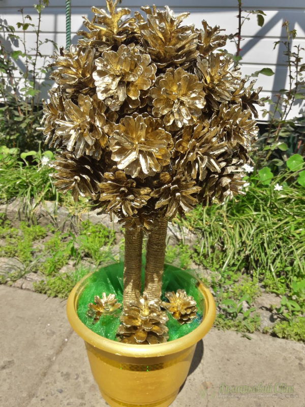 <div style=margin-left:10px><h1>Дерево топиарий из шишек</h1><p><a href="/catalog/podarki--suveniry/">Подарунки, сувеніри</a> » <a href="/catalog/podarki--suveniry/suveniry/">Сувеніри</a></p><i class="fa fa-map-marker"></i> Сумская область, Лебедин<br /><br /><div class="socdata"><script src="//yastatic.net/es5-shims/0.0.2/es5-shims.min.js"></script>
                                            <script src="//yastatic.net/share2/share.js"></script>
                                            <div class="ya-share2" data-services="facebook,gplus,twitter,lj,viber,whatsapp,skype" data-counter=""></div></div>