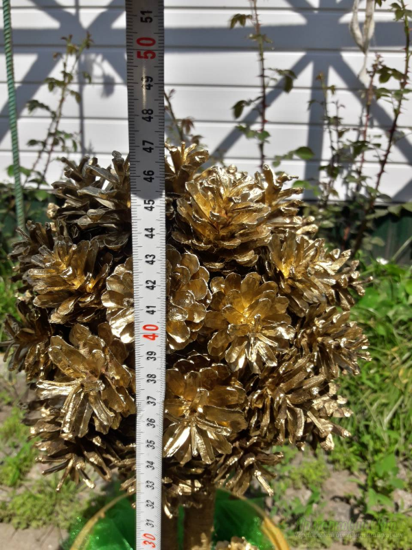 <div style=margin-left:10px><h1>Дерево топиарий из шишек</h1><p><a href="/catalog/podarki--suveniry/">Подарунки, сувеніри</a> » <a href="/catalog/podarki--suveniry/suveniry/">Сувеніри</a></p><i class="fa fa-map-marker"></i> Сумская область, Лебедин<br /><br /><div class="socdata"><script src="//yastatic.net/es5-shims/0.0.2/es5-shims.min.js"></script>
                                            <script src="//yastatic.net/share2/share.js"></script>
                                            <div class="ya-share2" data-services="facebook,gplus,twitter,lj,viber,whatsapp,skype" data-counter=""></div></div>