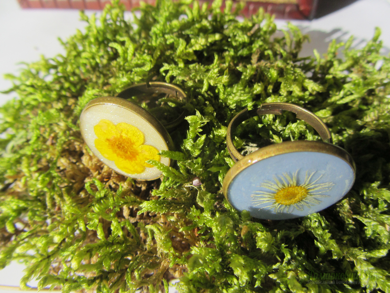 <div style=margin-left:10px><h1>Персні з ювелірної смоли</h1><p><a href="/catalog/ukrasheniya/">Прикраси</a> » <a href="/catalog/ukrasheniya/aksessuary/">Аксесуари</a></p><i class="fa fa-map-marker"></i> Киевская область, Киев<br /><br /><div class="socdata"><script src="//yastatic.net/es5-shims/0.0.2/es5-shims.min.js"></script>
                                            <script src="//yastatic.net/share2/share.js"></script>
                                            <div class="ya-share2" data-services="facebook,gplus,twitter,lj,viber,whatsapp,skype" data-counter=""></div></div>