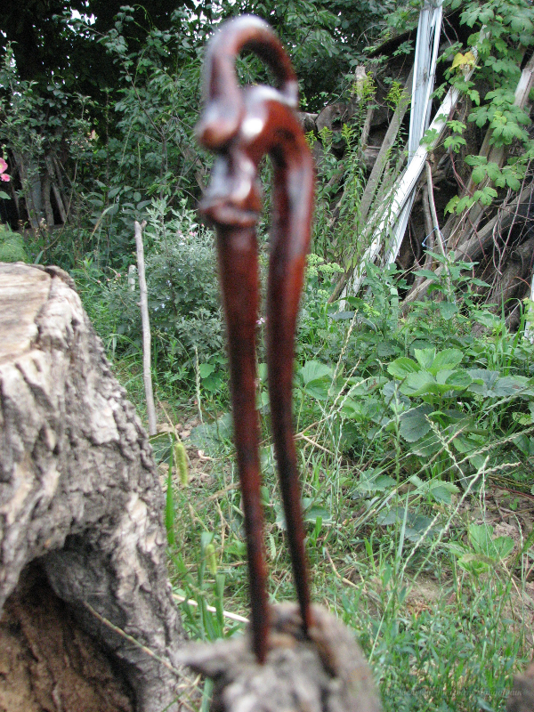 <div style=margin-left:10px><h1>Авторская деревянная заколка из комеля алычи " Грация".</h1><p><a href="/catalog/kosmetika/">Косметика</a> » <a href="/catalog/kosmetika/dlya-volos/">Для волосся
</a></p><i class="fa fa-map-marker"></i> Киевская область, Киев<br /><br /><div class="socdata"><script src="//yastatic.net/es5-shims/0.0.2/es5-shims.min.js"></script>
                                            <script src="//yastatic.net/share2/share.js"></script>
                                            <div class="ya-share2" data-services="facebook,gplus,twitter,lj,viber,whatsapp,skype" data-counter=""></div></div>