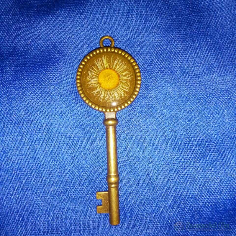 <div style=margin-left:10px><h1>Кулоны с живыми цветами внутри </h1><p><a href="/catalog/ukrasheniya/">Прикраси</a> » <a href="/catalog/ukrasheniya/aksessuary/">Аксесуари</a></p><i class="fa fa-map-marker"></i> Винницкая область, Казатин<br /><br /><div class="socdata"><script src="//yastatic.net/es5-shims/0.0.2/es5-shims.min.js"></script>
                                            <script src="//yastatic.net/share2/share.js"></script>
                                            <div class="ya-share2" data-services="facebook,gplus,twitter,lj,viber,whatsapp,skype" data-counter=""></div></div>