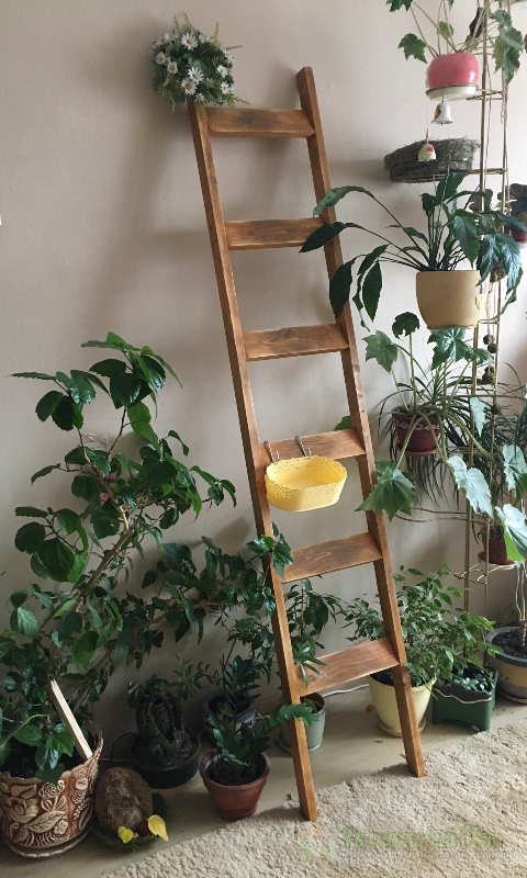 <div style=margin-left:10px><h1>Лестница декоративная деревянная</h1><p><a href="/catalog/dekor/">Декор</a> » <a href="/catalog/dekor/mebel/">Меблі</a></p><i class="fa fa-map-marker"></i> Киевская область, Киев<br /><br /><div class="socdata"><script src="//yastatic.net/es5-shims/0.0.2/es5-shims.min.js"></script>
                                            <script src="//yastatic.net/share2/share.js"></script>
                                            <div class="ya-share2" data-services="facebook,gplus,twitter,lj,viber,whatsapp,skype" data-counter=""></div></div>