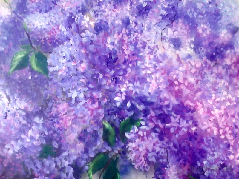 <div style=margin-left:10px><h1>Картина маслом сирень 60*80</h1><p><a href="/catalog/kartiny/">Картини</a> » <a href="/catalog/kartiny/jivopis/">Живопис</a></p><i class="fa fa-map-marker"></i> Донецкая область, Украинск<br /><br /><div class="socdata"><script src="//yastatic.net/es5-shims/0.0.2/es5-shims.min.js"></script>
                                            <script src="//yastatic.net/share2/share.js"></script>
                                            <div class="ya-share2" data-services="facebook,gplus,twitter,lj,viber,whatsapp,skype" data-counter=""></div></div>