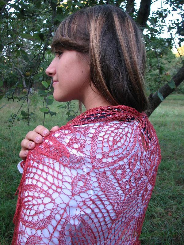 <div style=margin-left:10px><h1>Шаль Клематис</h1><p><a href="/catalog/ukrasheniya/">Прикраси</a> » <a href="/catalog/ukrasheniya/aksessuary/">Аксесуари</a></p><i class="fa fa-map-marker"></i> Сумская область, Сумы<br /><br /><div class="socdata"><script src="//yastatic.net/es5-shims/0.0.2/es5-shims.min.js"></script>
                                            <script src="//yastatic.net/share2/share.js"></script>
                                            <div class="ya-share2" data-services="facebook,gplus,twitter,lj,viber,whatsapp,skype" data-counter=""></div></div>