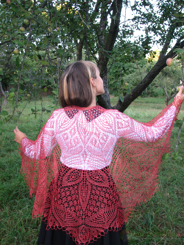 <div style=margin-left:10px><h1>Шаль Клематис</h1><p><a href="/catalog/ukrasheniya/">Прикраси</a> » <a href="/catalog/ukrasheniya/aksessuary/">Аксесуари</a></p><i class="fa fa-map-marker"></i> Сумская область, Сумы<br /><br /><div class="socdata"><script src="//yastatic.net/es5-shims/0.0.2/es5-shims.min.js"></script>
                                            <script src="//yastatic.net/share2/share.js"></script>
                                            <div class="ya-share2" data-services="facebook,gplus,twitter,lj,viber,whatsapp,skype" data-counter=""></div></div>