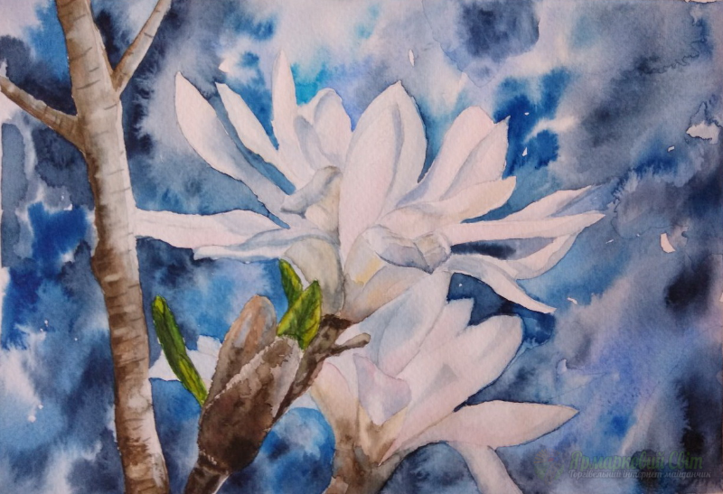 <div style=margin-left:10px><h1>Белые цветы. Акварель</h1><p><a href="/catalog/kartiny/">Картини</a> » <a href="/catalog/kartiny/jivopis/">Живопис</a></p><i class="fa fa-map-marker"></i> Черкасская область, Черкассы<br /><br /><script src="//yastatic.net/es5-shims/0.0.2/es5-shims.min.js"></script>
                                            <script src="//yastatic.net/share2/share.js"></script>
                                            <div class="ya-share2" data-services="facebook,gplus,twitter,lj,viber,whatsapp,skype" data-counter=""></div><br /><div class="socdata"></div></div>