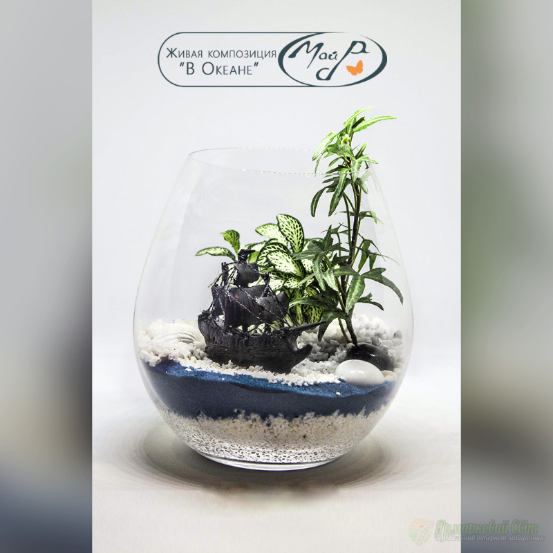 <div style=margin-left:10px><h1>Живая композиция "В океане"</h1><p><a href="/catalog/podarki--suveniry/">Подарунки, сувеніри</a> » <a href="/catalog/podarki--suveniry/podarki/">Подарунки</a></p><i class="fa fa-map-marker"></i> Днепропетровская область, Днепропетровск<br /><br /><div class="socdata"><script src="//yastatic.net/es5-shims/0.0.2/es5-shims.min.js"></script>
                                            <script src="//yastatic.net/share2/share.js"></script>
                                            <div class="ya-share2" data-services="facebook,gplus,twitter,lj,viber,whatsapp,skype" data-counter=""></div></div>