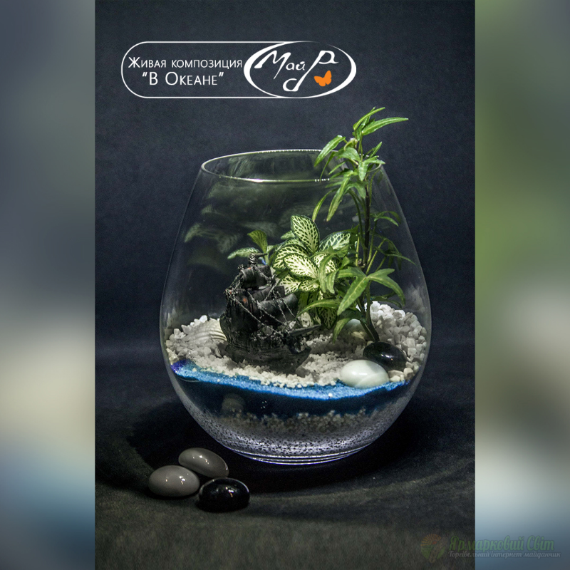 <div style=margin-left:10px><h1>Живая композиция "В океане"</h1><p><a href="/catalog/podarki--suveniry/">Подарунки, сувеніри</a> » <a href="/catalog/podarki--suveniry/podarki/">Подарунки</a></p><i class="fa fa-map-marker"></i> Днепропетровская область, Днепропетровск<br /><br /><div class="socdata"><script src="//yastatic.net/es5-shims/0.0.2/es5-shims.min.js"></script>
                                            <script src="//yastatic.net/share2/share.js"></script>
                                            <div class="ya-share2" data-services="facebook,gplus,twitter,lj,viber,whatsapp,skype" data-counter=""></div></div>