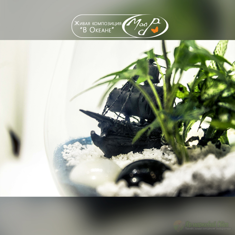 <div style=margin-left:10px><h1>Живая композиция "В океане"</h1><p><a href="/catalog/podarki--suveniry/">Подарунки, сувеніри</a> » <a href="/catalog/podarki--suveniry/podarki/">Подарунки</a></p><i class="fa fa-map-marker"></i> Днепропетровская область, Днепропетровск<br /><br /><div class="socdata"><script src="//yastatic.net/es5-shims/0.0.2/es5-shims.min.js"></script>
                                            <script src="//yastatic.net/share2/share.js"></script>
                                            <div class="ya-share2" data-services="facebook,gplus,twitter,lj,viber,whatsapp,skype" data-counter=""></div></div>